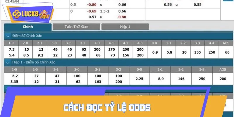 Hiểu tường tận về cách đọc tỷ lệ odds