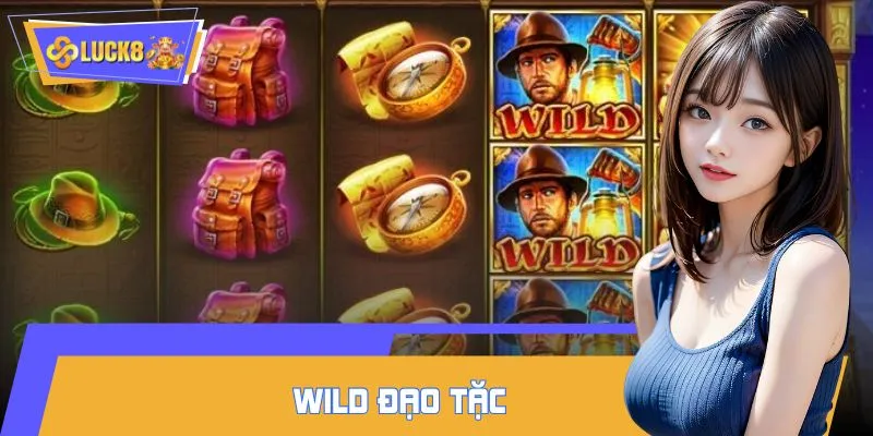 Wild đạo tặc